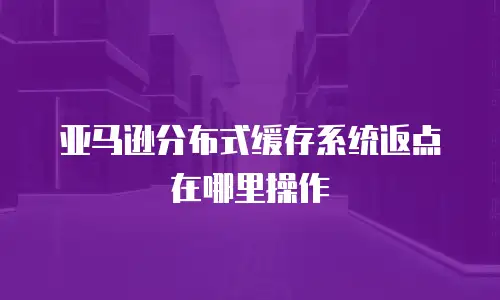 亚马逊分布式缓存系统返点在哪里操作