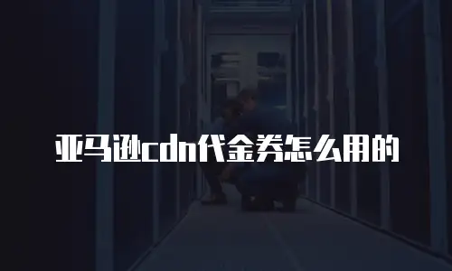 亚马逊cdn代金券怎么用的