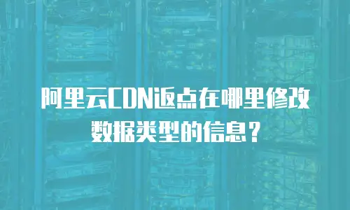阿里云CDN返点在哪里修改数据类型的信息？