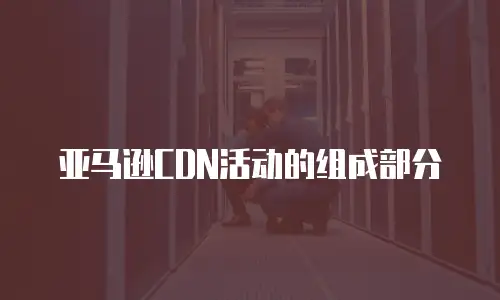 亚马逊CDN活动的组成部分