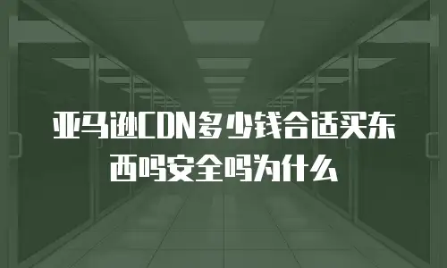 亚马逊CDN多少钱合适买东西吗安全吗为什么