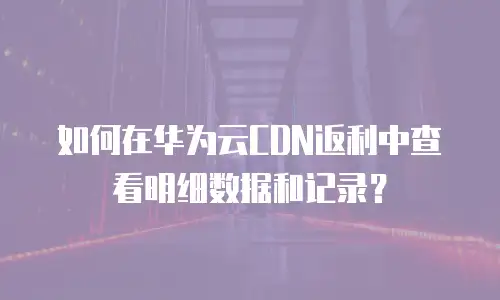 如何在华为云CDN返利中查看明细数据和记录？