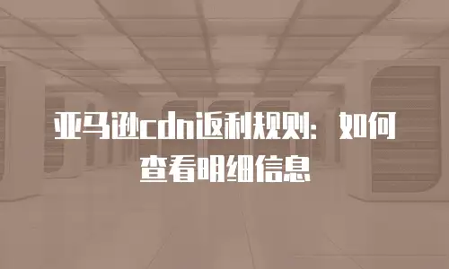 亚马逊cdn返利规则：如何查看明细信息