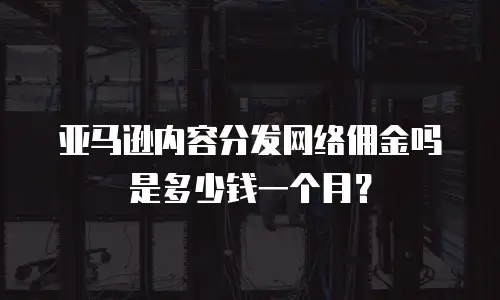亚马逊内容分发网络佣金吗是多少钱一个月？