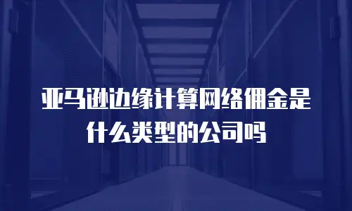 亚马逊边缘计算网络佣金是什么类型的公司吗