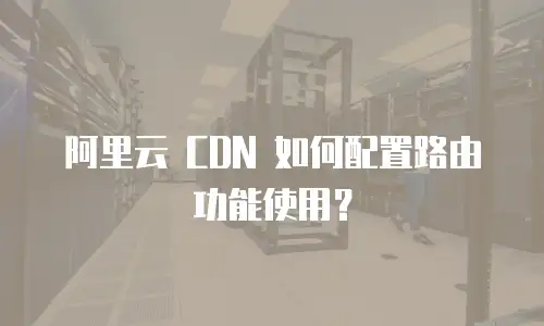 阿里云 CDN 如何配置路由功能使用？