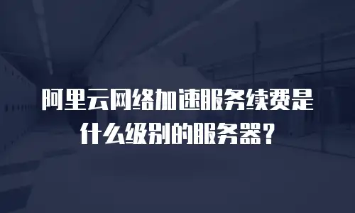 阿里云网络加速服务续费是什么级别的服务器？