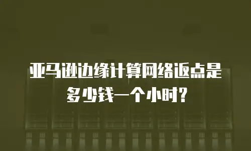亚马逊边缘计算网络返点是多少钱一个小时？