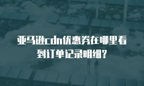 亚马逊cdn优惠券在哪里看到订单记录明细？