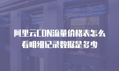 阿里云CDN流量价格表怎么看明细记录数据是多少