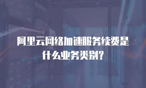 阿里云网络加速服务续费是什么业务类别？