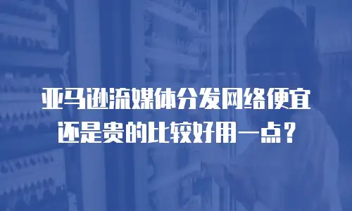 亚马逊流媒体分发网络便宜还是贵的比较好用一点？