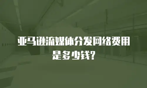 亚马逊流媒体分发网络费用是多少钱？
