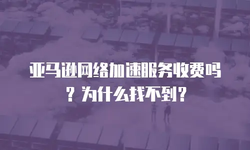 亚马逊网络加速服务收费吗？为什么找不到？