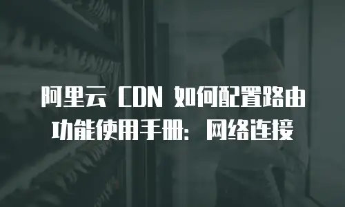 阿里云 CDN 如何配置路由功能使用手册：网络连接