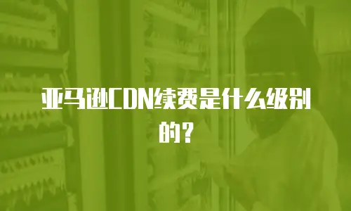 亚马逊CDN续费是什么级别的？
