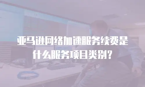 亚马逊网络加速服务续费是什么服务项目类别？