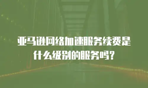 亚马逊网络加速服务续费是什么级别的服务吗？