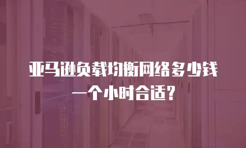 亚马逊负载均衡网络多少钱一个小时合适？