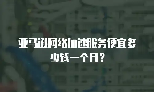 亚马逊网络加速服务便宜多少钱一个月？