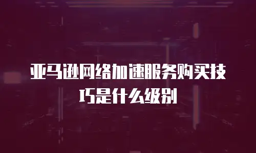 亚马逊网络加速服务购买技巧是什么级别