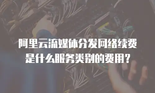 阿里云流媒体分发网络续费是什么服务类别的费用？