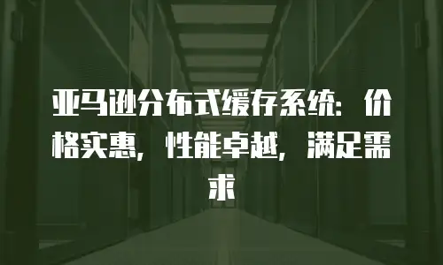 亚马逊分布式缓存系统：价格实惠，性能卓越，满足需求