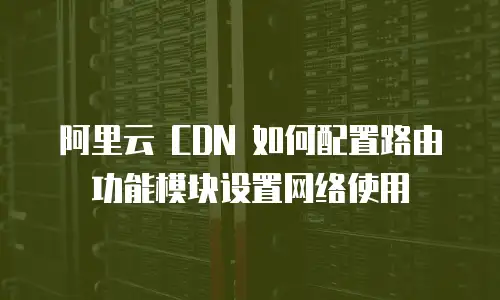 阿里云 CDN 如何配置路由功能模块设置网络使用