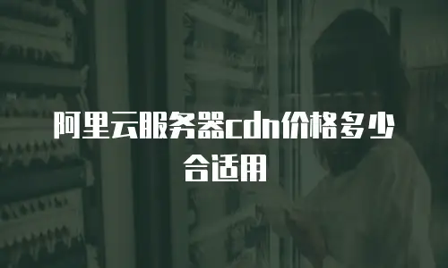 阿里云服务器cdn价格多少合适用
