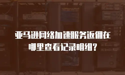 亚马逊网络加速服务返佣在哪里查看记录明细？