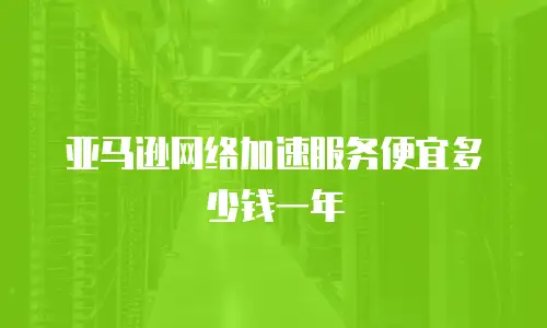 亚马逊网络加速服务便宜多少钱一年