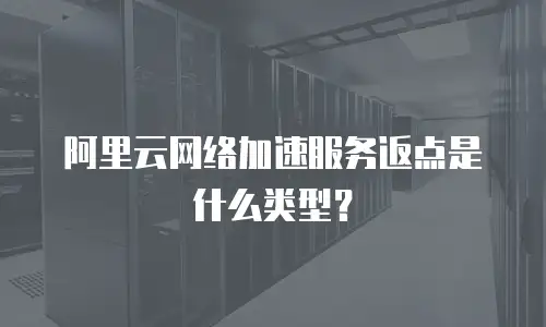 阿里云网络加速服务返点是什么类型？