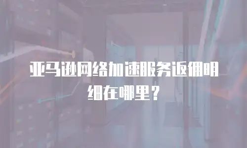 亚马逊网络加速服务返佣明细在哪里？