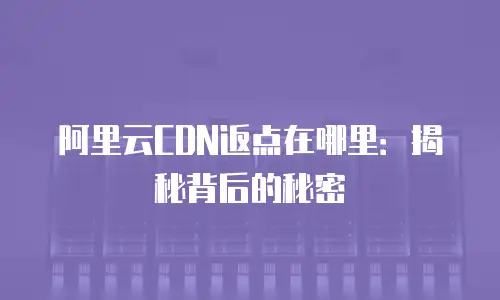 阿里云CDN返点在哪里：揭秘背后的秘密