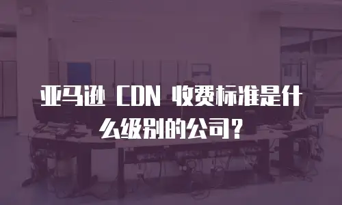 亚马逊 CDN 收费标准是什么级别的公司？