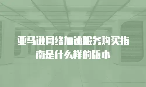 亚马逊网络加速服务购买指南是什么样的版本