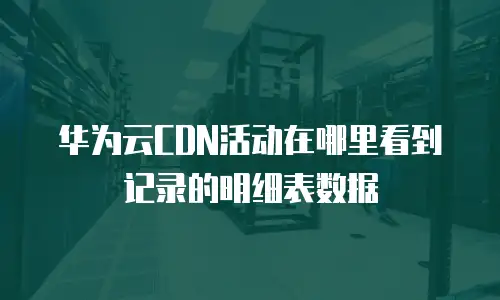 华为云CDN活动在哪里看到记录的明细表数据