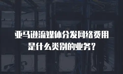 亚马逊流媒体分发网络费用是什么类别的业务？