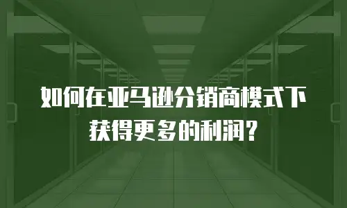 如何在亚马逊分销商模式下获得更多的利润？