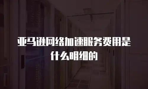 亚马逊网络加速服务费用是什么明细的