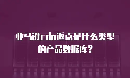亚马逊cdn返点是什么类型的产品数据库？