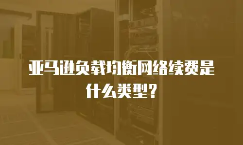 亚马逊负载均衡网络续费是什么类型？
