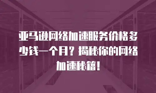 亚马逊网络加速服务价格多少钱一个月？揭秘你的网络加速秘籍！