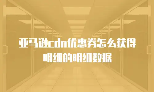 亚马逊cdn优惠券怎么获得明细的明细数据