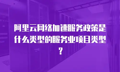阿里云网络加速服务政策是什么类型的服务业项目类型？