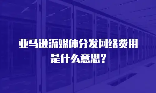 亚马逊流媒体分发网络费用是什么意思？