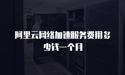 阿里云网络加速服务费用多少钱一个月
