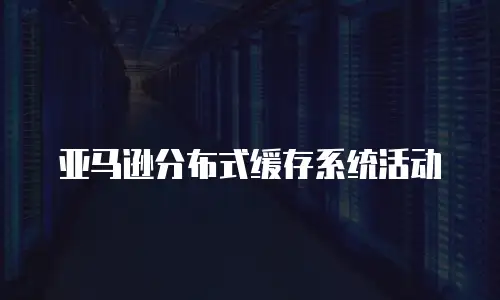 亚马逊分布式缓存系统活动