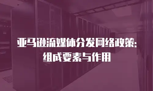 亚马逊流媒体分发网络政策: 组成要素与作用