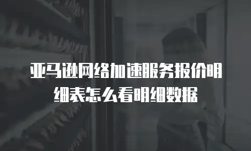 亚马逊网络加速服务报价明细表怎么看明细数据
